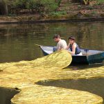 Floating Golden (F)oil. Artists: Tanya Atanasova & Thomas van Walle